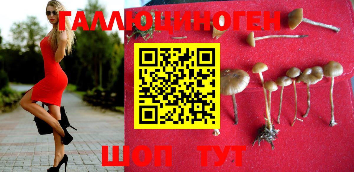 Псилоцибиновые грибы MAGIC MUSHROOMS  Вход с VPN  Новоалтайск 