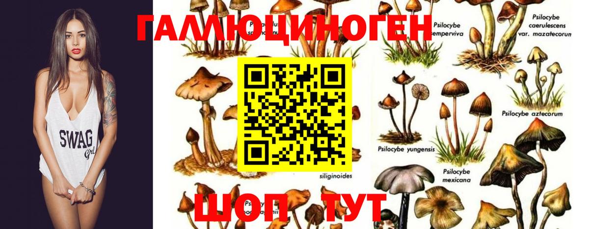 Галлюциногенные грибы MAGIC MUSHROOMS Новоалтайск
